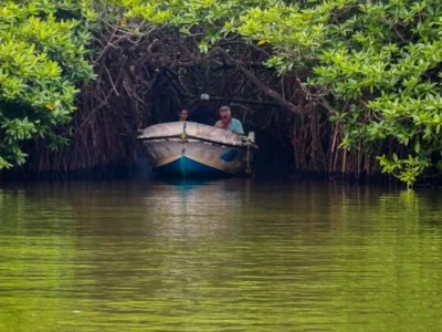 Madugaga river safari