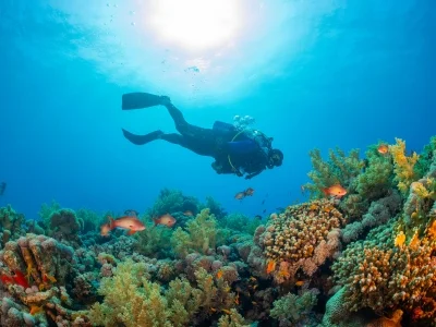 Scuba Diving Hikkaduwa