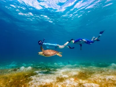snorkeling with turtles